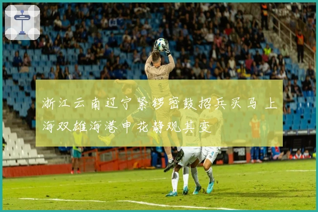 浙江云南辽宁紧锣密鼓招兵买马 上海双雄海港申花静观其变